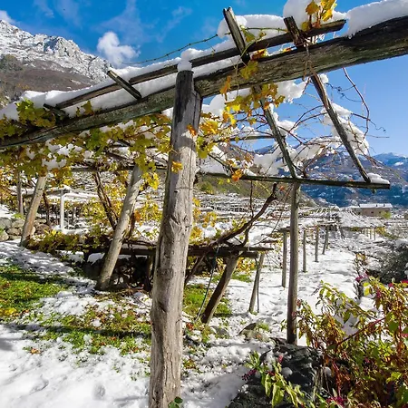Il Girasole Bed & Breakfast